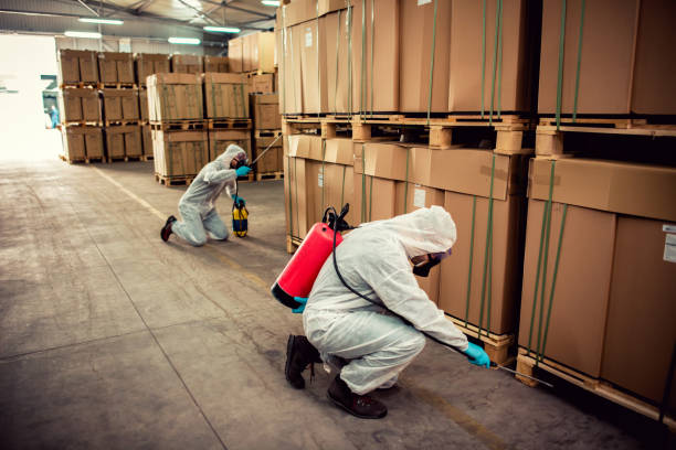 Best Wasp Removal Services  in Fort Washakie, WY
