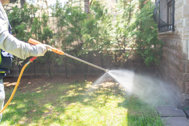 Best Flea Control Services  in Fort Washakie, WY