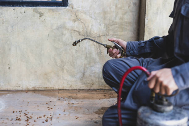 Best Mosquito Control Services  in Fort Washakie, WY